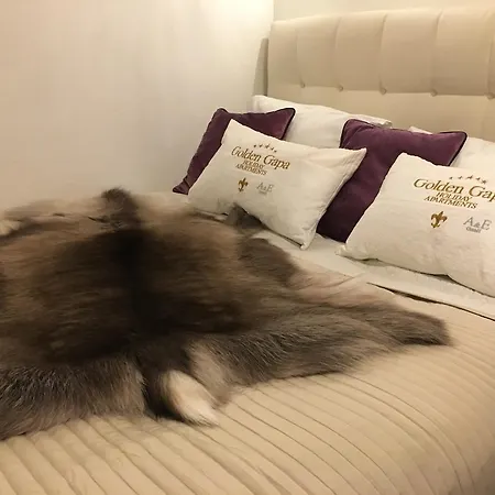 Διαμέρισμα Golden Gapa Superior 9 *